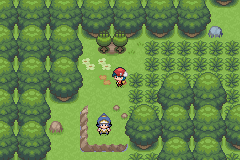 pokemon light platinum guia español ellie
